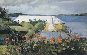 Winslow Homer Flower Garden and Bungalow,Bermuda (mk44) oil on canvas